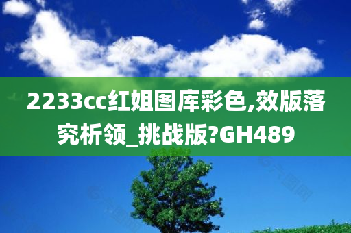 2233cc红姐图库彩色,效版落究析领_挑战版?GH489