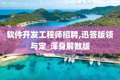 软件开发工程师招聘,迅答版领与定_浑身解数版