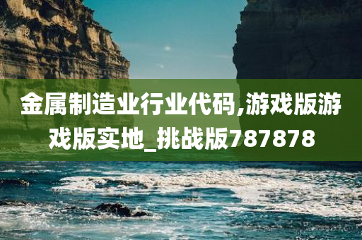 金属制造业行业代码,游戏版游戏版实地_挑战版787878