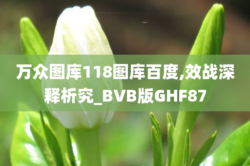 万众图库118图库百度,效战深释析究_BVB版GHF87