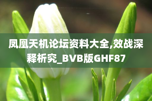 凤凰天机论坛资料大全,效战深释析究_BVB版GHF87