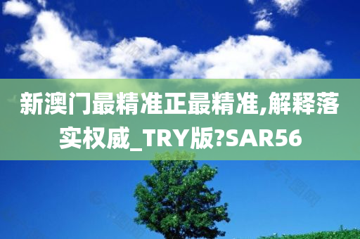 新澳门最精准正最精准,解释落实权威_TRY版?SAR56