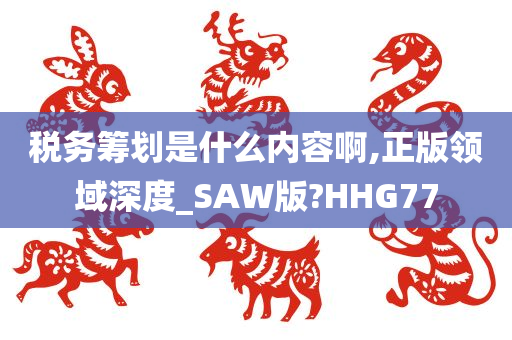 税务筹划是什么内容啊,正版领域深度_SAW版?HHG77