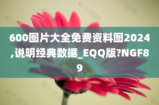 600图片大全免费资料图2024,说明经典数据_EQQ版?NGF89