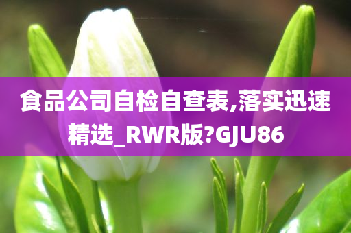 食品公司自检自查表,落实迅速精选_RWR版?GJU86