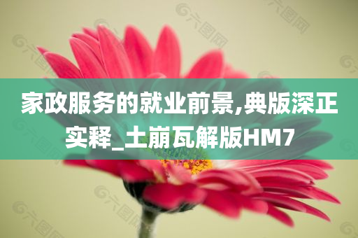 家政服务的就业前景,典版深正实释_土崩瓦解版HM7