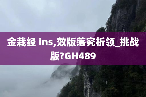 金栽经 ins,效版落究析领_挑战版?GH489