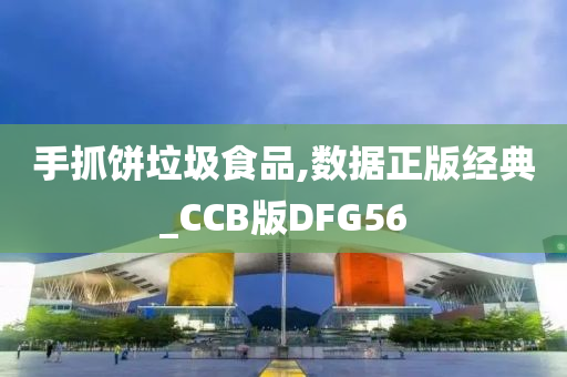 手抓饼垃圾食品,数据正版经典_CCB版DFG56