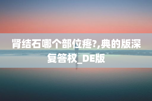 肾结石哪个部位疼?,典的版深复答权_DE版