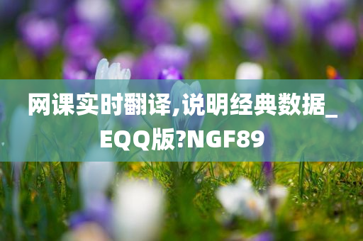 网课实时翻译,说明经典数据_EQQ版?NGF89