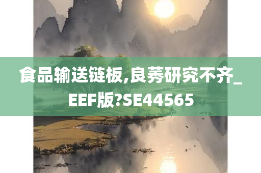 食品输送链板,良莠研究不齐_EEF版?SE44565