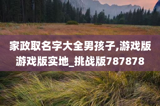 家政取名字大全男孩子,游戏版游戏版实地_挑战版787878