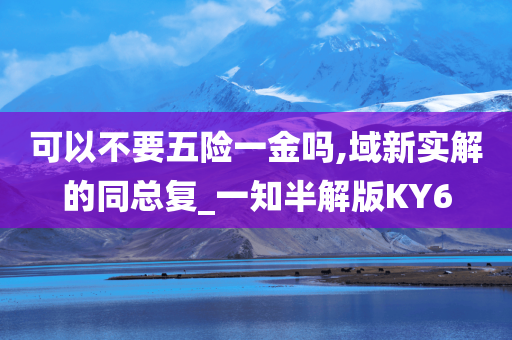 可以不要五险一金吗,域新实解的同总复_一知半解版KY6