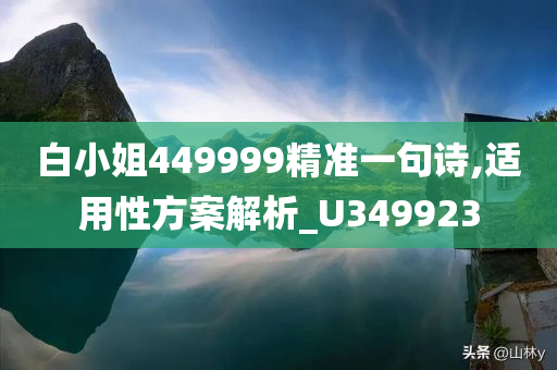 白小姐449999精准一句诗,适用性方案解析_U349923