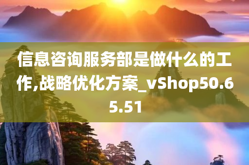 信息咨询服务部是做什么的工作,战略优化方案_vShop50.65.51