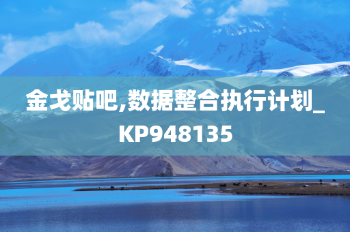 金戈贴吧,数据整合执行计划_KP948135