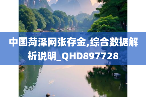 中国菏泽网张存金,综合数据解析说明_QHD897728