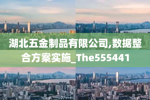 湖北五金制品有限公司,数据整合方案实施_The555441