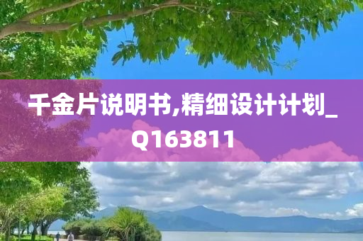 千金片说明书,精细设计计划_Q163811