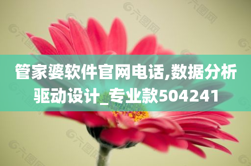 管家婆软件官网电话,数据分析驱动设计_专业款504241