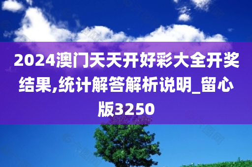 2024澳门天天开好彩大全开奖结果,统计解答解析说明_留心版3250