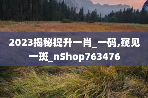 2023揭秘提升一肖_一码,窥见一斑_nShop763476