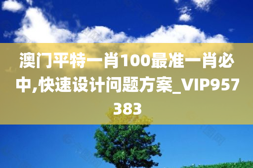 澳门平特一肖100最准一肖必中,快速设计问题方案_VIP957383