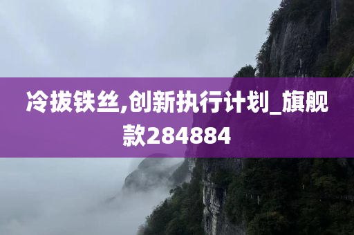 冷拔铁丝,创新执行计划_旗舰款284884