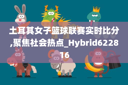 土耳其女子篮球联赛实时比分,聚焦社会热点_Hybrid622816