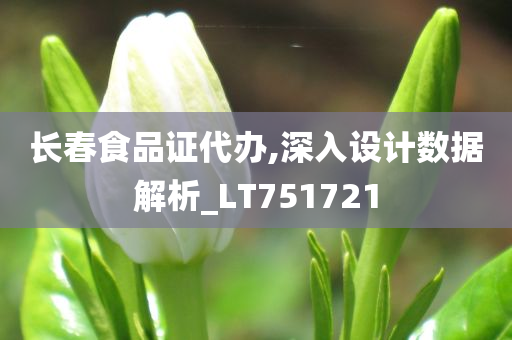 长春食品证代办,深入设计数据解析_LT751721