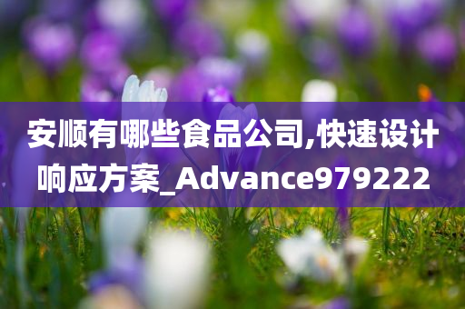 安顺有哪些食品公司,快速设计响应方案_Advance979222