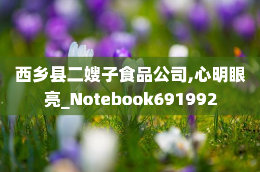 西乡县二嫂子食品公司,心明眼亮_Notebook691992