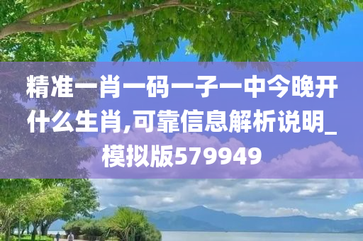 精准一肖一码一子一中今晚开什么生肖,可靠信息解析说明_模拟版579949