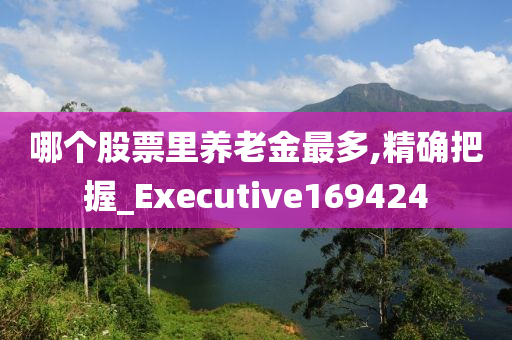 哪个股票里养老金最多,精确把握_Executive169424