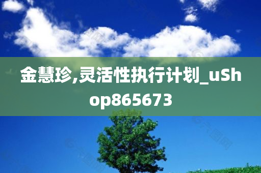 金慧珍,灵活性执行计划_uShop865673