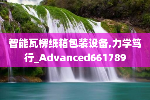 智能瓦楞纸箱包装设备,力学笃行_Advanced661789