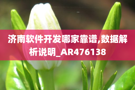 济南软件开发哪家靠谱,数据解析说明_AR476138