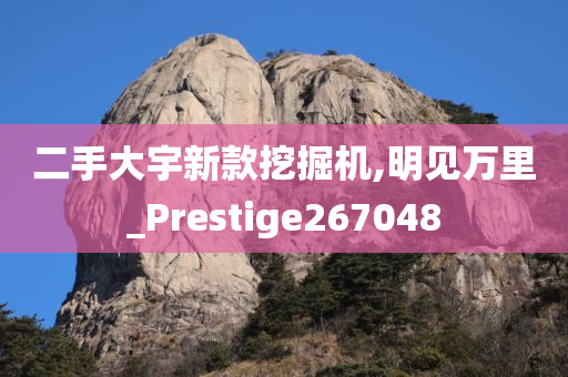 二手大宇新款挖掘机,明见万里_Prestige267048