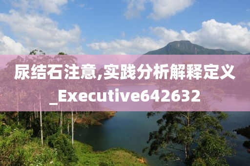 尿结石注意,实践分析解释定义_Executive642632