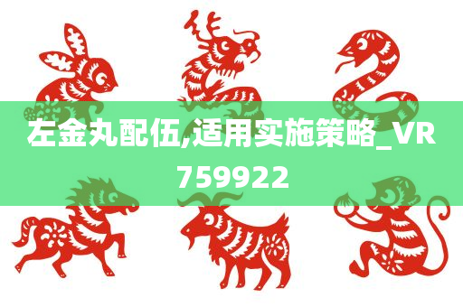 左金丸配伍,适用实施策略_VR759922