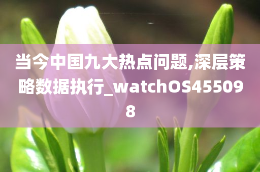 当今中国九大热点问题,深层策略数据执行_watchOS455098