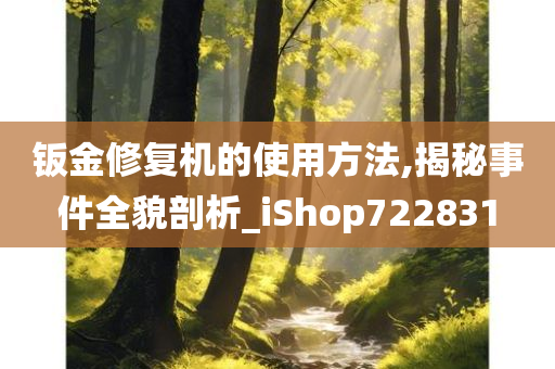 钣金修复机的使用方法,揭秘事件全貌剖析_iShop722831