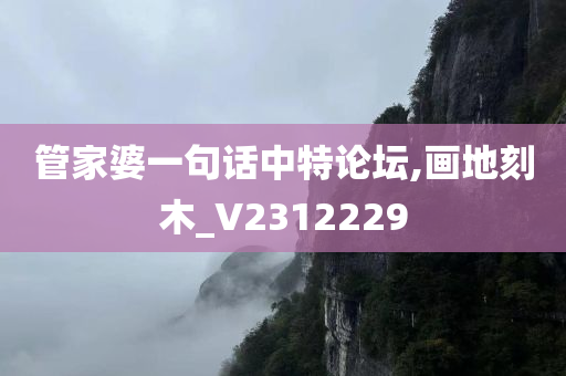 管家婆一句话中特论坛,画地刻木_V2312229