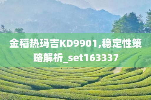 金稻热玛吉KD9901,稳定性策略解析_set163337