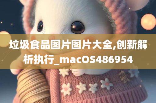 垃圾食品图片图片大全,创新解析执行_macOS486954