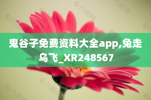 鬼谷子免费资料大全app,兔走乌飞_XR248567