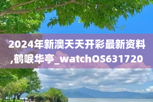 2024年新澳天天开彩最新资料,鹤唳华亭_watchOS631720