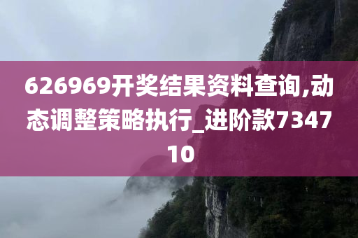 626969开奖结果资料查询,动态调整策略执行_进阶款734710