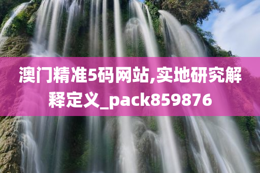 澳门精准5码网站,实地研究解释定义_pack859876