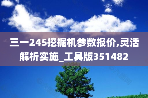 三一245挖掘机参数报价,灵活解析实施_工具版351482